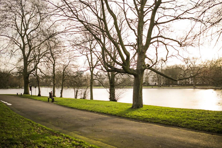 A scenic view of a riverside park featuring a paved pathway running parallel to the water, with grassy edges on both sides. Several leafless trees with thick trunks and sprawling branches line the par